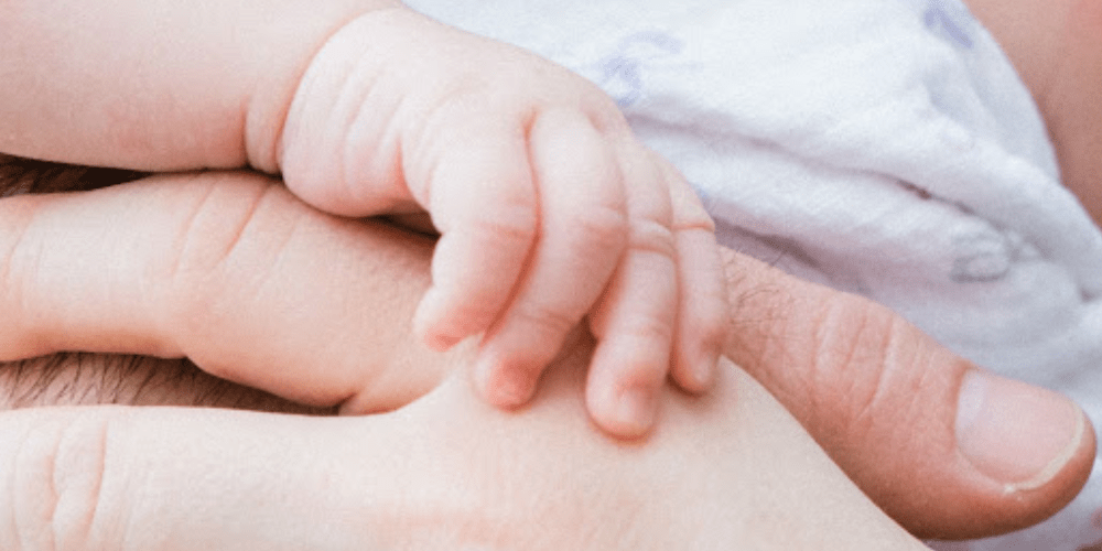 Stillness And Understanding